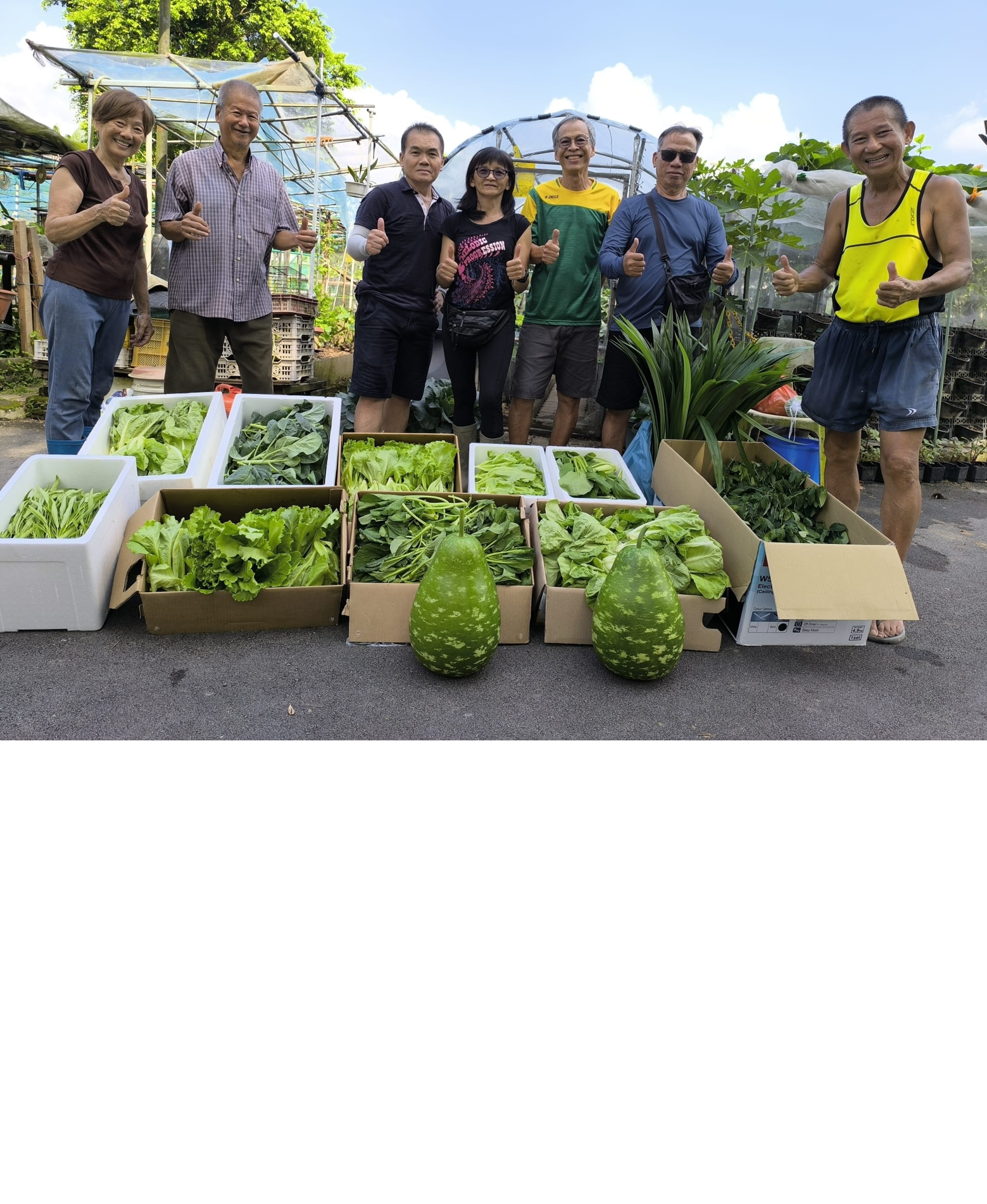 A group of gardeners standing and posing behind their bountiful harvest laid out on the ground in cardboard and styrofoam boxes.